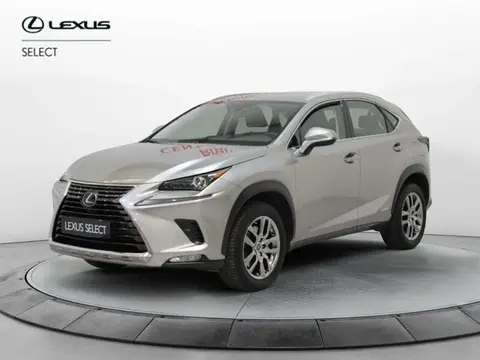 Used LEXUS NX Hybrid 2020 Ad 