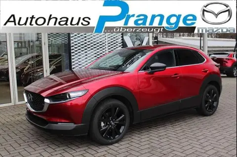 Annonce MAZDA CX-30 Essence 2024 d'occasion 