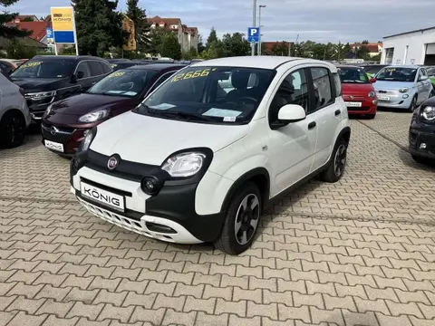 Annonce FIAT PANDA Essence 2023 d'occasion 