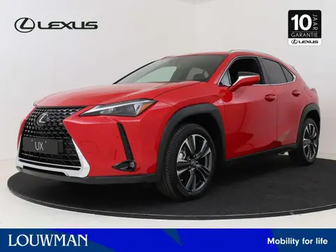 Used LEXUS UX Hybrid 2023 Ad 