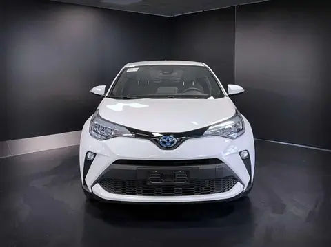 Used TOYOTA C-HR Hybrid 2023 Ad 