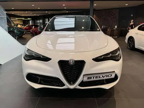 Annonce ALFA ROMEO STELVIO Diesel 2023 d'occasion 