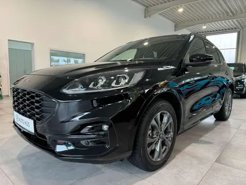 Used FORD KUGA Hybrid 2021 Ad 