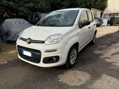 Used FIAT PANDA Petrol 2020 Ad 