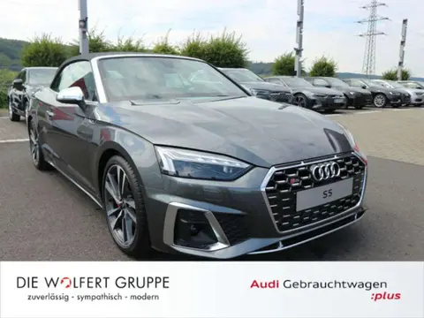 Used AUDI S5 Petrol 2024 Ad 