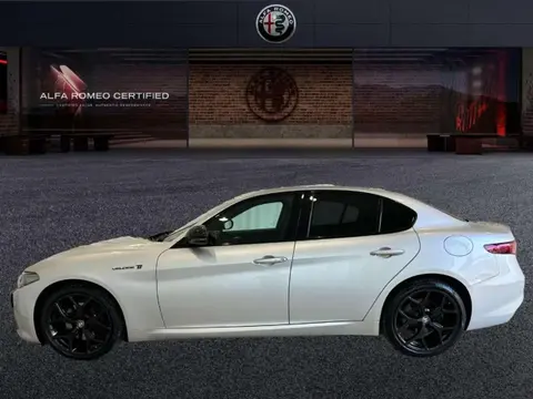 Used ALFA ROMEO GIULIA Diesel 2022 Ad 