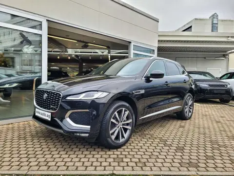 Annonce JAGUAR F-PACE Hybride 2023 d'occasion 