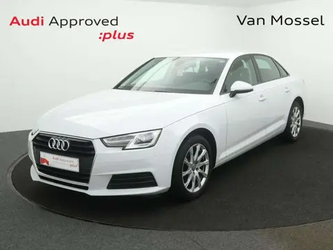 Used AUDI A4 Diesel 2019 Ad 