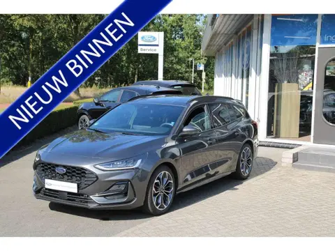 Used FORD FOCUS Petrol 2024 Ad 