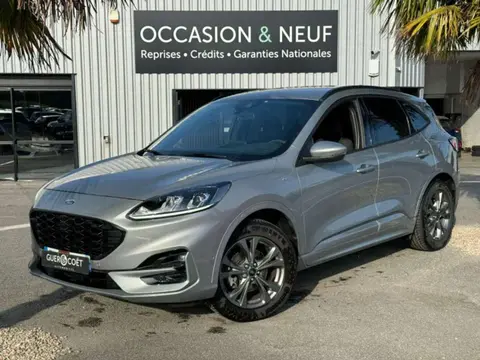 Used FORD KUGA Diesel 2021 Ad 