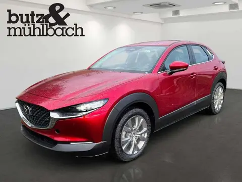 Used MAZDA CX-30 Petrol 2024 Ad 