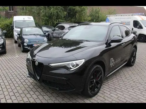 Used ALFA ROMEO STELVIO Petrol 2019 Ad 