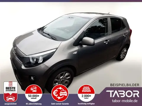 Used KIA PICANTO Petrol 2019 Ad 