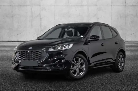 Annonce FORD KUGA Diesel 2023 d'occasion 