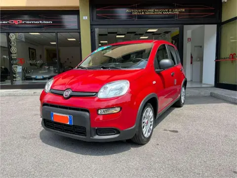 Annonce FIAT PANDA Hybride 2024 d'occasion 