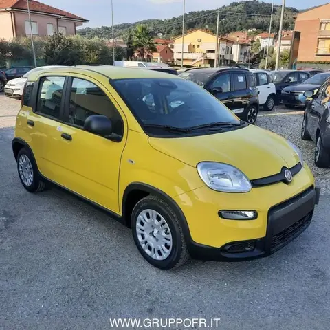 Used FIAT PANDA Hybrid 2024 Ad 