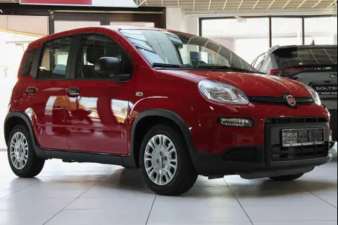 Used FIAT PANDA Petrol 2024 Ad 