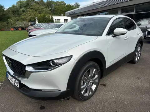 Annonce MAZDA CX-30 Hybride 2024 d'occasion 