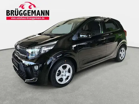 Used KIA PICANTO Petrol 2024 Ad 