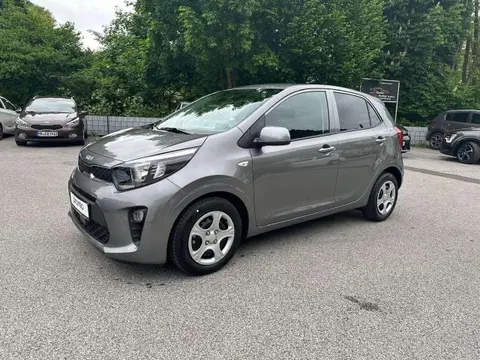 Used KIA PICANTO Petrol 2024 Ad 