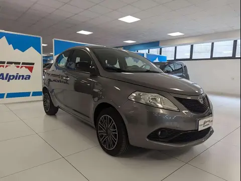 Used LANCIA YPSILON Petrol 2019 Ad 