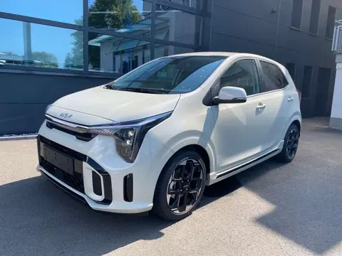 Used KIA PICANTO Petrol 2024 Ad 