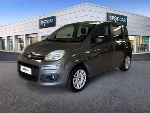 Used FIAT PANDA Petrol 2020 Ad 