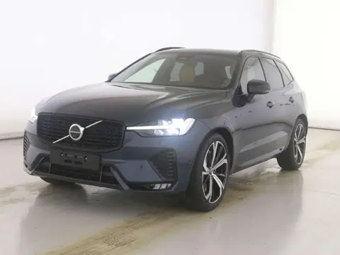 Annonce VOLVO XC60 Diesel 2024 d'occasion 