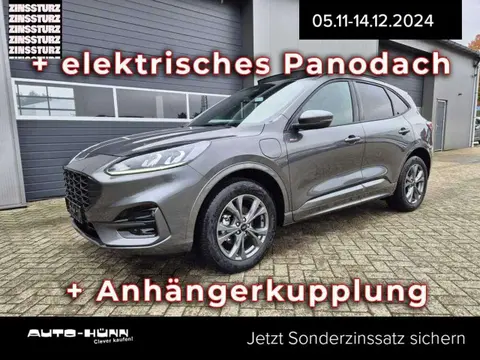 Used FORD KUGA Hybrid 2024 Ad 