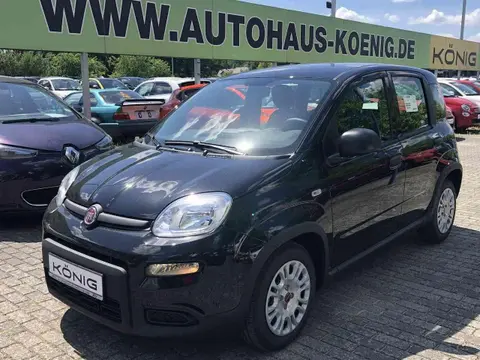 Annonce FIAT PANDA Essence 2024 d'occasion 