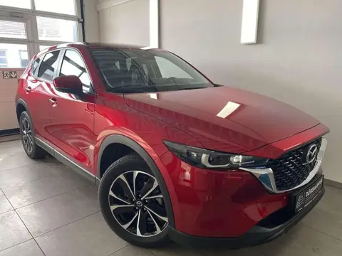 Annonce MAZDA CX-5 Essence 2023 d'occasion 