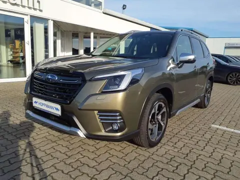 Annonce SUBARU FORESTER Essence 2024 d'occasion 