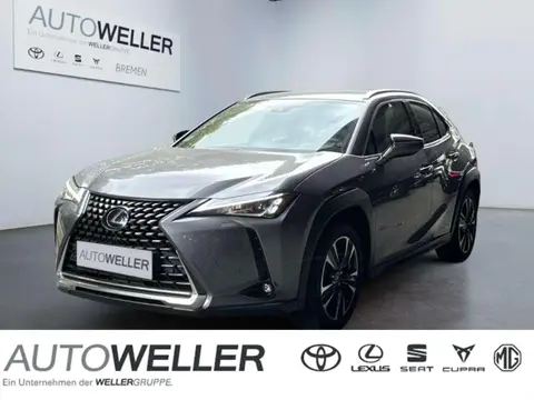 Used LEXUS UX Hybrid 2020 Ad 