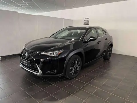 Used LEXUS UX Hybrid 2020 Ad 