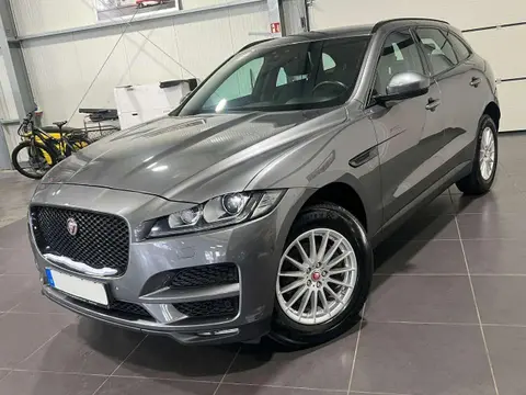 Used JAGUAR F-PACE Diesel 2019 Ad 