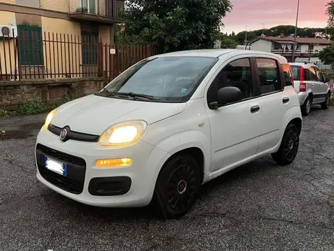 Annonce FIAT PANDA Essence 2017 d'occasion 