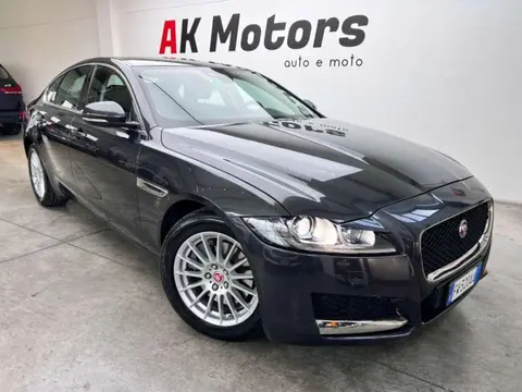 Used JAGUAR XF Diesel 2019 Ad 