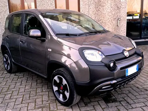 Used FIAT PANDA Petrol 2022 Ad 