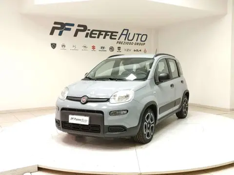 Used FIAT PANDA Hybrid 2022 Ad 