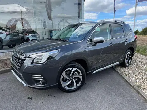 Used SUBARU FORESTER Hybrid 2024 Ad 