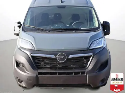 Annonce OPEL MOVANO Diesel 2024 d'occasion 