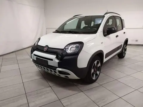 Used FIAT PANDA Hybrid 2022 Ad 