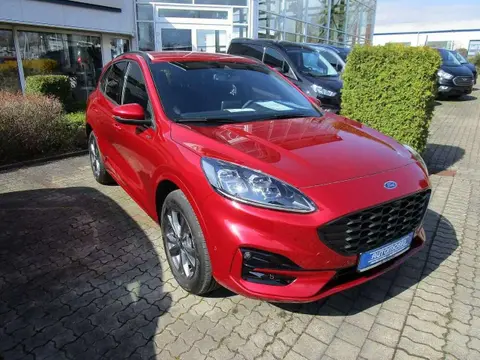 Used FORD KUGA Hybrid 2024 Ad 