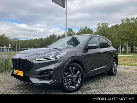 Used FORD KUGA Hybrid 2020 Ad 