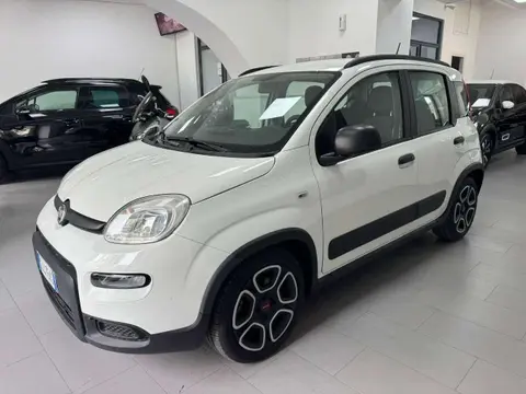 Used FIAT PANDA Hybrid 2022 Ad 