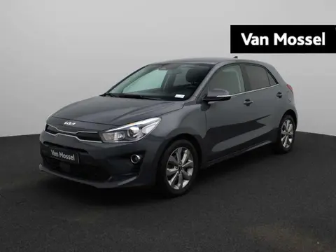 Used KIA RIO Petrol 2022 Ad 