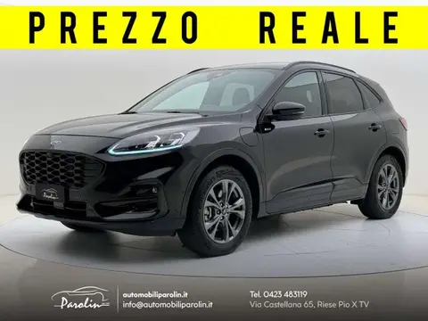 Used FORD KUGA Hybrid 2021 Ad 