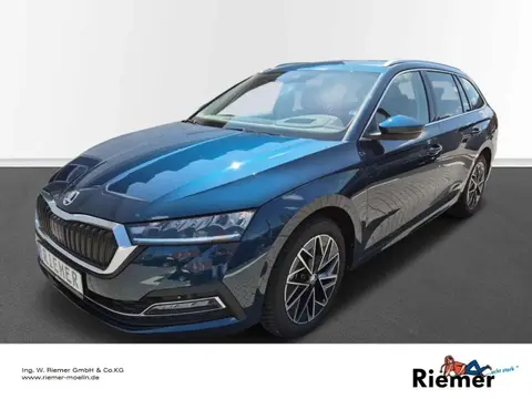 Annonce SKODA OCTAVIA Diesel 2023 d'occasion 