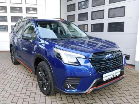 Used SUBARU FORESTER Petrol 2023 Ad 