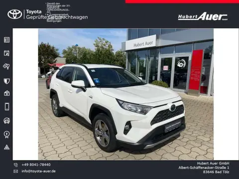 Annonce TOYOTA RAV4 Hybride 2021 d'occasion Allemagne